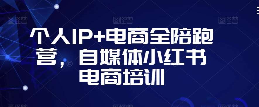 个人IP+电商全陪跑营，自媒体小红书电商培训网赚项目-副业赚钱-互联网创业-独家轻创IP星泽云创