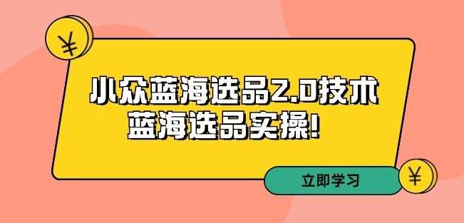 拼多多培训第33期：小众蓝海选品2.0技术-蓝海选品实操！网赚项目-副业赚钱-互联网创业-独家轻创IP星泽云创