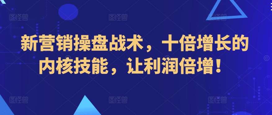 新营销操盘战术，十倍增长的内核技能，让利润倍增！网赚项目-副业赚钱-互联网创业-独家轻创IP星泽云创