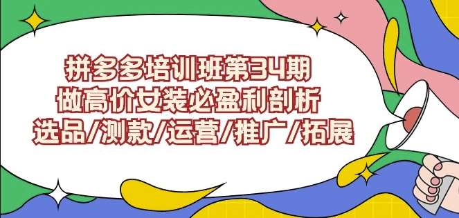 拼多多培训班第34期：做高价女装必盈利剖析选品/测款/运营/推广/拓展网赚项目-副业赚钱-互联网创业-独家轻创IP星泽云创