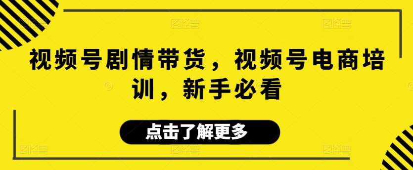 视频号剧情带货，视频号电商培训，新手必看网赚项目-副业赚钱-互联网创业-独家轻创IP星泽云创