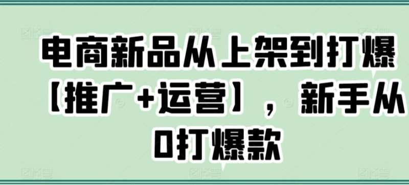 电商新品从上架到打爆【推广+运营】，新手从0打爆款网赚项目-副业赚钱-互联网创业-独家轻创IP星泽云创