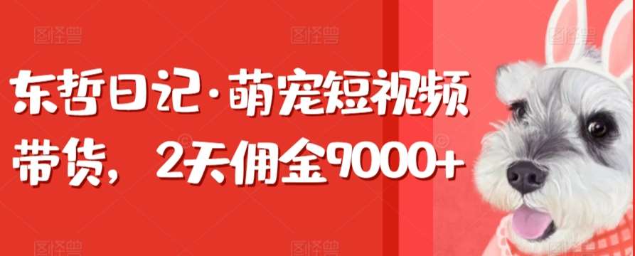 东哲日记·萌宠短视频带货，2天佣金9000+网赚项目-副业赚钱-互联网创业-独家轻创IP星泽云创