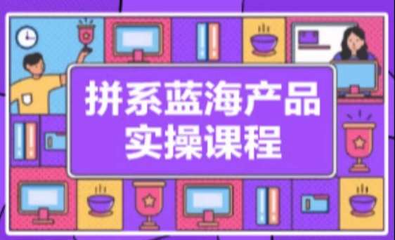 拼系冷门蓝海产品实操课程，从注册店铺到选品上架到流量维护环环相扣网赚项目-副业赚钱-互联网创业-独家轻创IP星泽云创