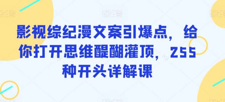 影视综纪漫文案引爆点，给你打开思维醍醐灌顶，255种开头详解课网赚项目-副业赚钱-互联网创业-独家轻创IP星泽云创