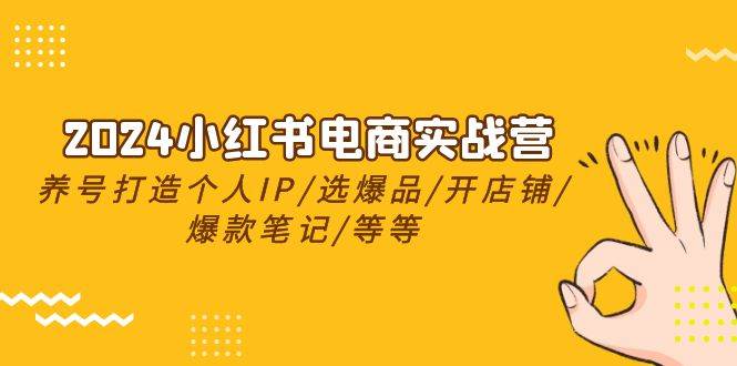2024小红书电商实战营，养号打造IP/选爆品/开店铺/爆款笔记/等等（24节）网赚项目-副业赚钱-互联网创业-独家轻创IP星泽云创