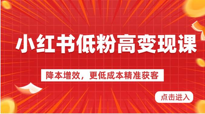 小红书低粉高变现课-降本增效，更低成本精准获客，小红书必爆的流量密码网赚项目-副业赚钱-互联网创业-独家轻创IP星泽云创