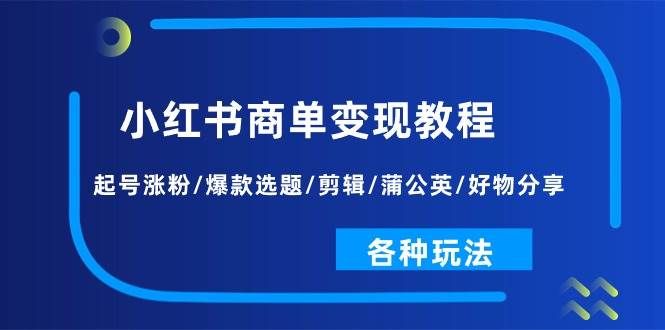 小红书商单变现教程：起号涨粉/爆款选题/剪辑/蒲公英/好物分享/各种玩法网赚项目-副业赚钱-互联网创业-独家轻创IP星泽云创