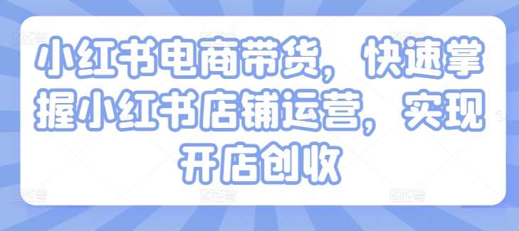 小红书电商带货，快速掌握小红书店铺运营，实现开店创收网赚项目-副业赚钱-互联网创业-独家轻创IP星泽云创