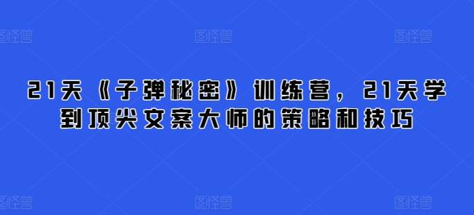 21天《子弹秘密》训练营，21天学到顶尖文案大师的策略和技巧网赚项目-副业赚钱-互联网创业-独家轻创IP星泽云创