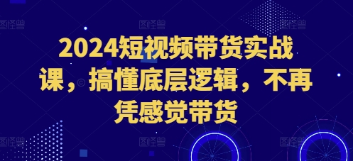 2024短视频带货实战课，搞懂底层逻辑，不再凭感觉带货网赚项目-副业赚钱-互联网创业-独家轻创IP星泽云创