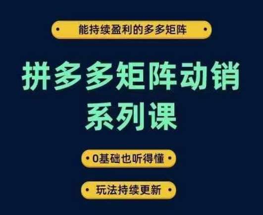 拼多多矩阵动销系列课，能持续盈利的多多矩阵，0基础也听得懂，玩法持续更新网赚项目-副业赚钱-互联网创业-独家轻创IP星泽云创