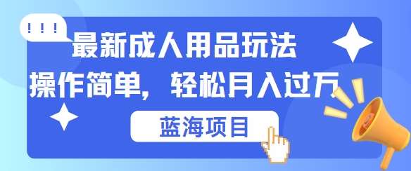 最新成人用品项目玩法，操作简单，动动手，轻松日入几张【揭秘】网赚项目-副业赚钱-互联网创业-独家轻创IP星泽云创