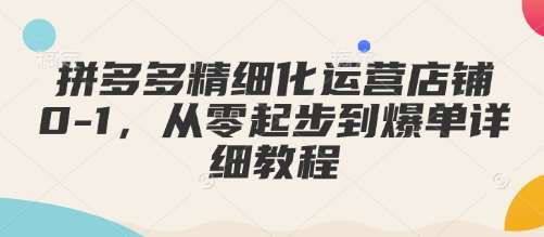 拼多多精细化运营店铺0-1，从零起步到爆单详细教程网赚项目-副业赚钱-互联网创业-独家轻创IP星泽云创