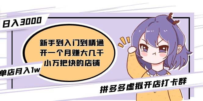 拼多多虚拟开店打卡群：新手到入门到精通网赚项目-副业赚钱-互联网创业-独家轻创IP星泽云创