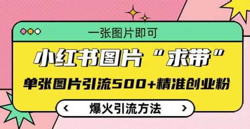 小红书图片‘求带’爆火引流法，单张图片引流500+精准创业粉【揭秘】网赚项目-副业赚钱-互联网创业-独家轻创IP星泽云创