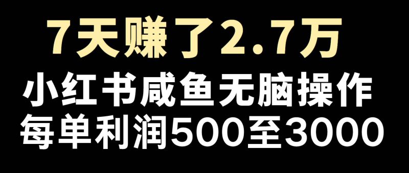 全网首发，7天赚了2.6万，2025利润超级高！网赚项目-副业赚钱-互联网创业-独家轻创IP星泽云创