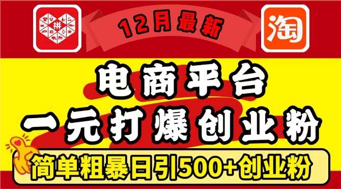 12月最新：电商平台1元打爆创业粉，简单粗暴日引500+精准创业粉，轻松月入过W【揭秘】网赚项目-副业赚钱-互联网创业-独家轻创IP星泽云创