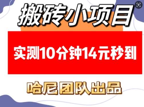 搬砖小项目，实测10分钟14元秒到，每天稳定几张(赠送必看稳定)网赚项目-副业赚钱-互联网创业-独家轻创IP星泽云创