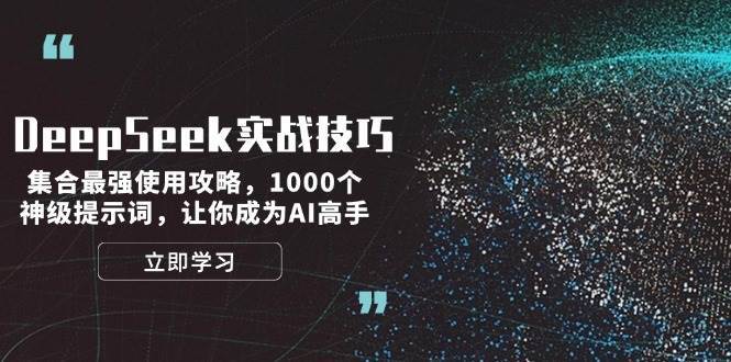 DeepSeek实战技巧：集合最强使用攻略，1000个神级提示词，让你成为AI高手网赚项目-副业赚钱-互联网创业-独家轻创IP星泽云创