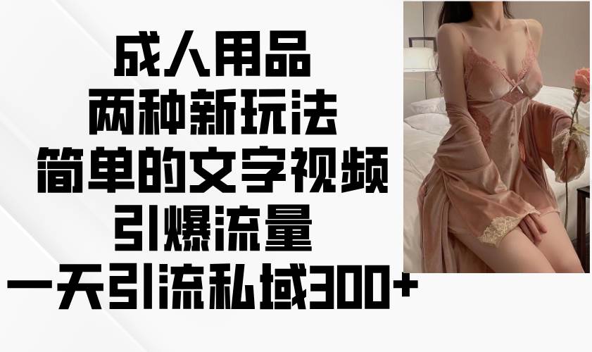 成人用品两种新玩法，简单的文字视频引爆流量，一天引流私域300+网赚项目-副业赚钱-互联网创业-独家轻创IP星泽云创