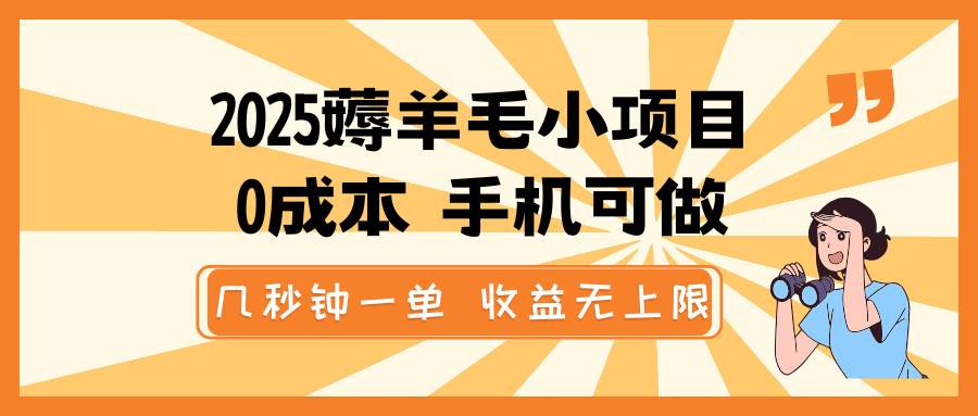 2025薅羊毛小项目，0成本 手机可做，几秒钟一单，收益无上限网赚项目-副业赚钱-互联网创业-独家轻创IP星泽云创