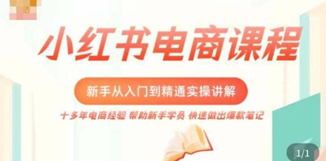 小红书电商新手入门到精通实操课，从入门到精通做爆款笔记，开店运营网赚项目-副业赚钱-互联网创业-独家轻创IP星泽云创