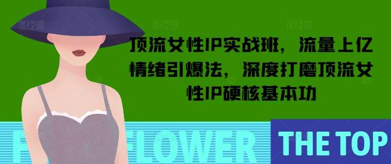 顶流女性IP实战班，流量上亿情绪引爆法，深度打磨顶流女性IP硬核基本功网赚项目-副业赚钱-互联网创业-独家轻创IP星泽云创