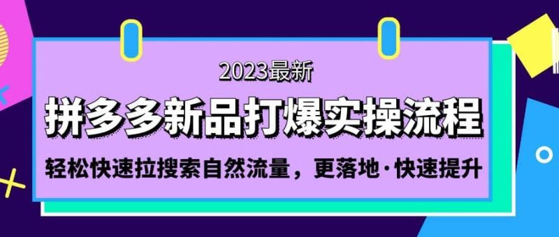 拼多多-新品打爆实操流程：轻松快速拉搜索自然流量，更落地·快速提升网赚项目-副业赚钱-互联网创业-独家轻创IP星泽云创