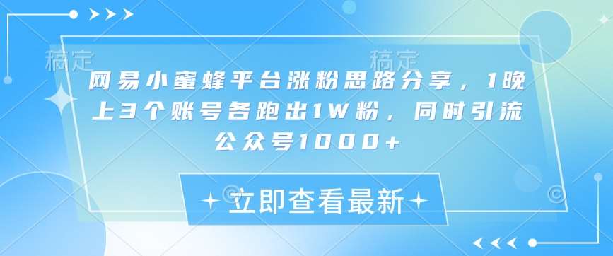 网易小蜜蜂平台涨粉思路分享，1晚上3个账号各跑出1W粉，同时引流公众号1000+网赚项目-副业赚钱-互联网创业-独家轻创IP星泽云创