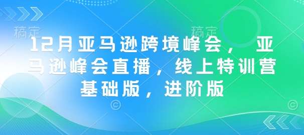 12月亚马逊跨境峰会， 亚马逊峰会直播，线上特训营基础版，进阶版网赚项目-副业赚钱-互联网创业-独家轻创IP星泽云创