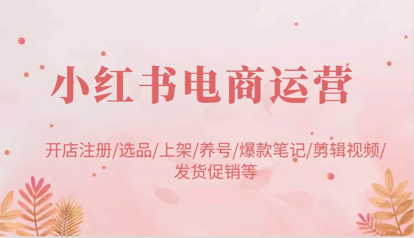 小红书电商运营：开店注册/选品/上架/养号/爆款笔记/剪辑视频/发货促销等网赚项目-副业赚钱-互联网创业-独家轻创IP星泽云创