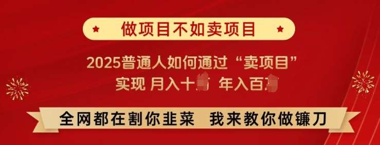 必看!做项目不如卖项目，2025普通人如何通过“卖项目”实现月入十个，年入百个【揭秘】网赚项目-副业赚钱-互联网创业-独家轻创IP星泽云创