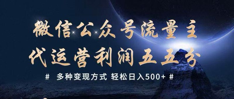 公众号流量主代运营  多种变现方式 轻松日入500+网赚项目-副业赚钱-互联网创业-独家轻创IP星泽云创