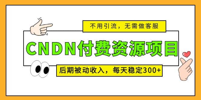 CNDN付费资源项目，不用引流，无需做客服，后期被动收入网赚项目-副业赚钱-互联网创业-独家轻创IP星泽云创
