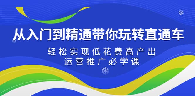 从入门到精通带你玩转直通车：轻松实现低花费高产出，35节运营推广必学课网赚项目-副业赚钱-互联网创业-独家轻创IP星泽云创