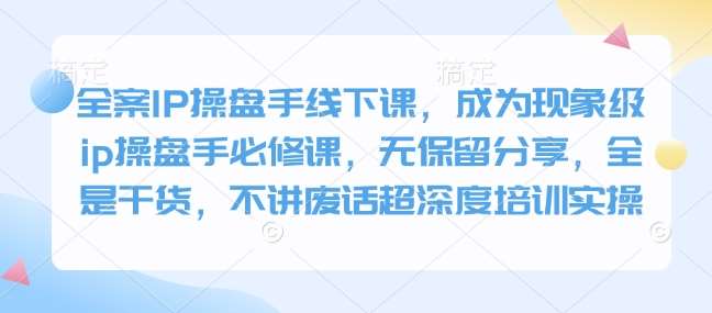 全案IP操盘手线下课，成为现象级ip操盘手必修课，无保留分享，全是干货，不讲废话超深度培训实操网赚项目-副业赚钱-互联网创业-独家轻创IP星泽云创