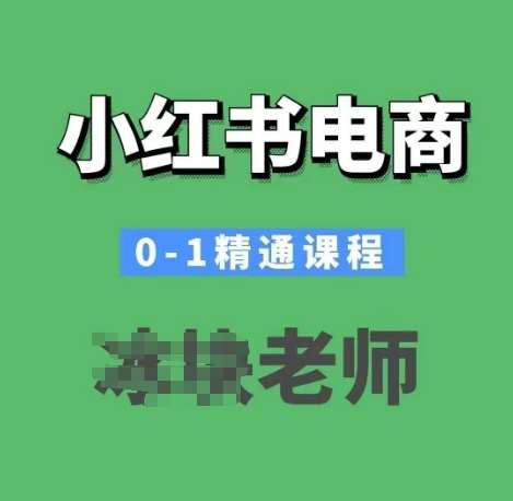 小红书电商0-1精通课程，小红书开店必学课程网赚项目-副业赚钱-互联网创业-独家轻创IP星泽云创