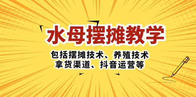 水母·摆摊教学，包括摆摊技术、养殖技术、拿货渠道、抖音运营等网赚项目-副业赚钱-互联网创业-独家轻创IP星泽云创