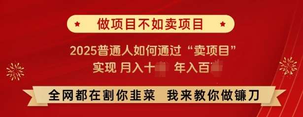 必看，做项目不如卖项目，2025普通人如何通过“卖项目”实现月入十个，年入百个网赚项目-副业赚钱-互联网创业-独家轻创IP星泽云创