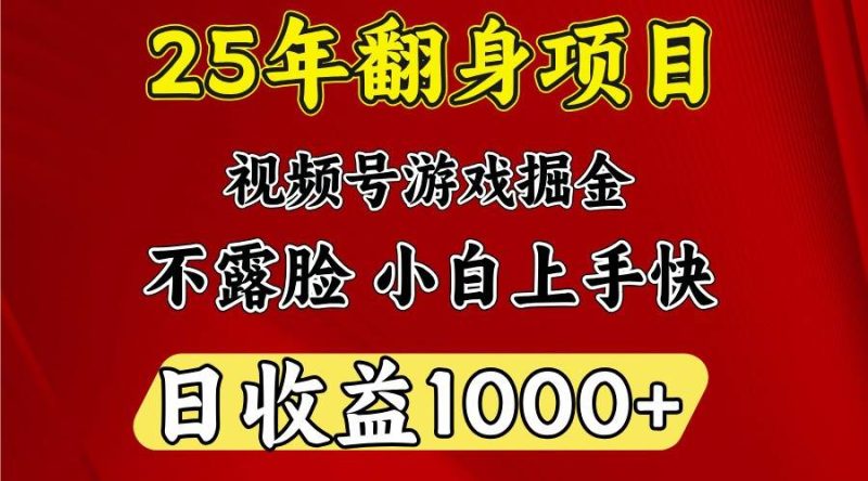 一天收益1000+ 25年开年落地好项目网赚项目-副业赚钱-互联网创业-独家轻创IP星泽云创