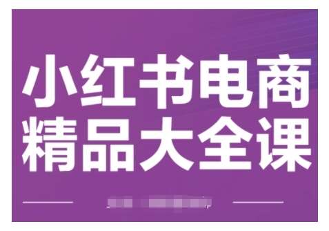 小红书电商精品大全课，快速掌握小红书运营技巧，实现精准引流与爆单目标，轻松玩转小红书电商网赚项目-副业赚钱-互联网创业-独家轻创IP星泽云创