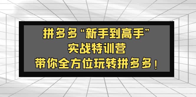 拼多多“新手到高手”实战特训营：带你全方位玩转拼多多网赚项目-副业赚钱-互联网创业-独家轻创IP星泽云创