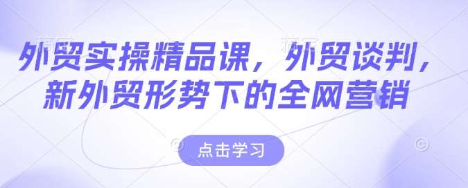 外贸实操精品课，外贸谈判，新外贸形势下的全网营销网赚项目-副业赚钱-互联网创业-独家轻创IP星泽云创