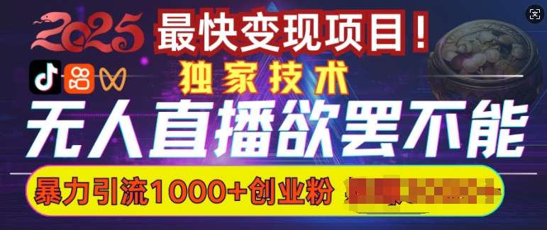 欲罢不能的无人直播引流，超暴力日引流1000+高质量精准创业粉网赚项目-副业赚钱-互联网创业-独家轻创IP星泽云创