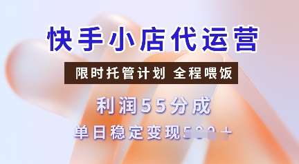 快手小店代运营，限时托管计划，收益55分，单日稳定变现多张【揭秘】网赚项目-副业赚钱-互联网创业-独家轻创IP星泽云创