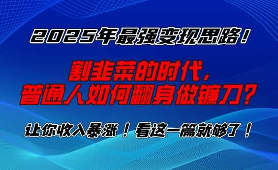 2025年最强变现思路，割韭菜的时代， 普通人如何翻身做镰刀？【揭秘】网赚项目-副业赚钱-互联网创业-独家轻创IP星泽云创