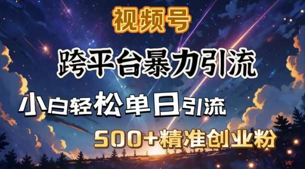 跨平台暴力引流，私域完美闭环，日引500+精准创业粉网赚项目-副业赚钱-互联网创业-独家轻创IP星泽云创