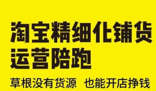 淘宝精细化铺货运营陪跑(部分更新至2025)，草根没有货源 也能开店挣钱网赚项目-副业赚钱-互联网创业-独家轻创IP星泽云创