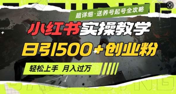 2月小红书最新日引500+创业粉实操教学【超详细】小白轻松上手，月入1W+，附小红书养号起号SOP网赚项目-副业赚钱-互联网创业-独家轻创IP星泽云创